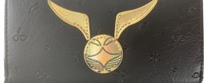 Billetero Wings Harry Potter