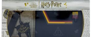 Set cartera + llavero Harry Potter