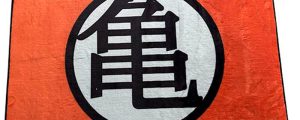 Alfombra interior Kame Dragon Ball Z 80x60cm
